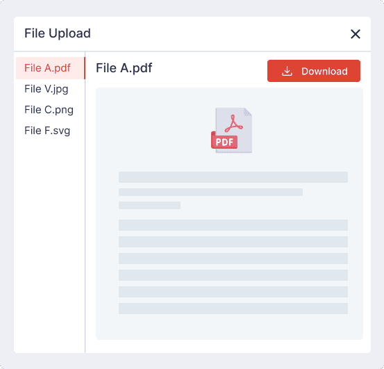 Finac Document Manager FILE PREVIEW