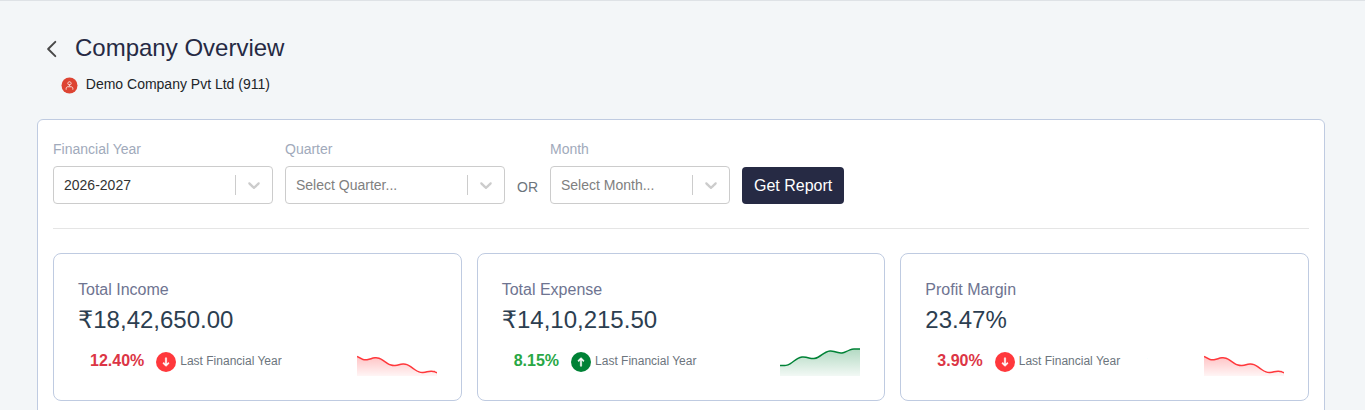 Finac company overview report with total income, total expense and profit margin for the year